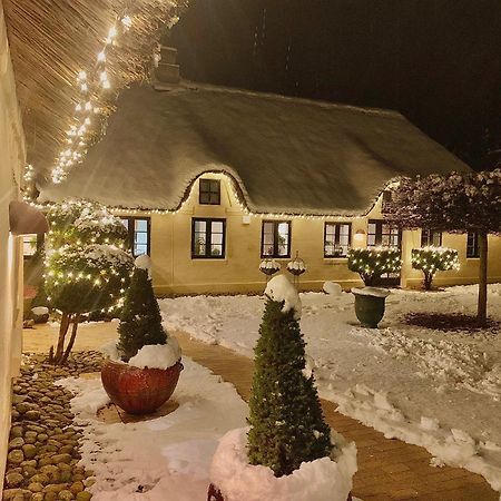 Mindedalen - Idyl Taet Pa Alt Og Helt I Fred Apartment Billum ภายนอก รูปภาพ