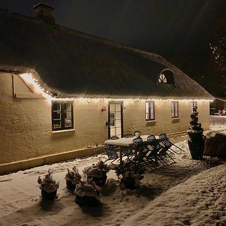 Mindedalen - Idyl Taet Pa Alt Og Helt I Fred Apartment Billum ภายนอก รูปภาพ
