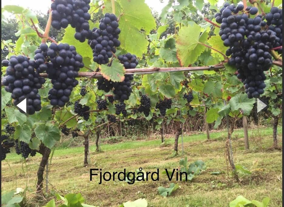 Mindedalen - Idyl Taet Pa Alt Og Helt I Fred Apartment Billum ภายนอก รูปภาพ