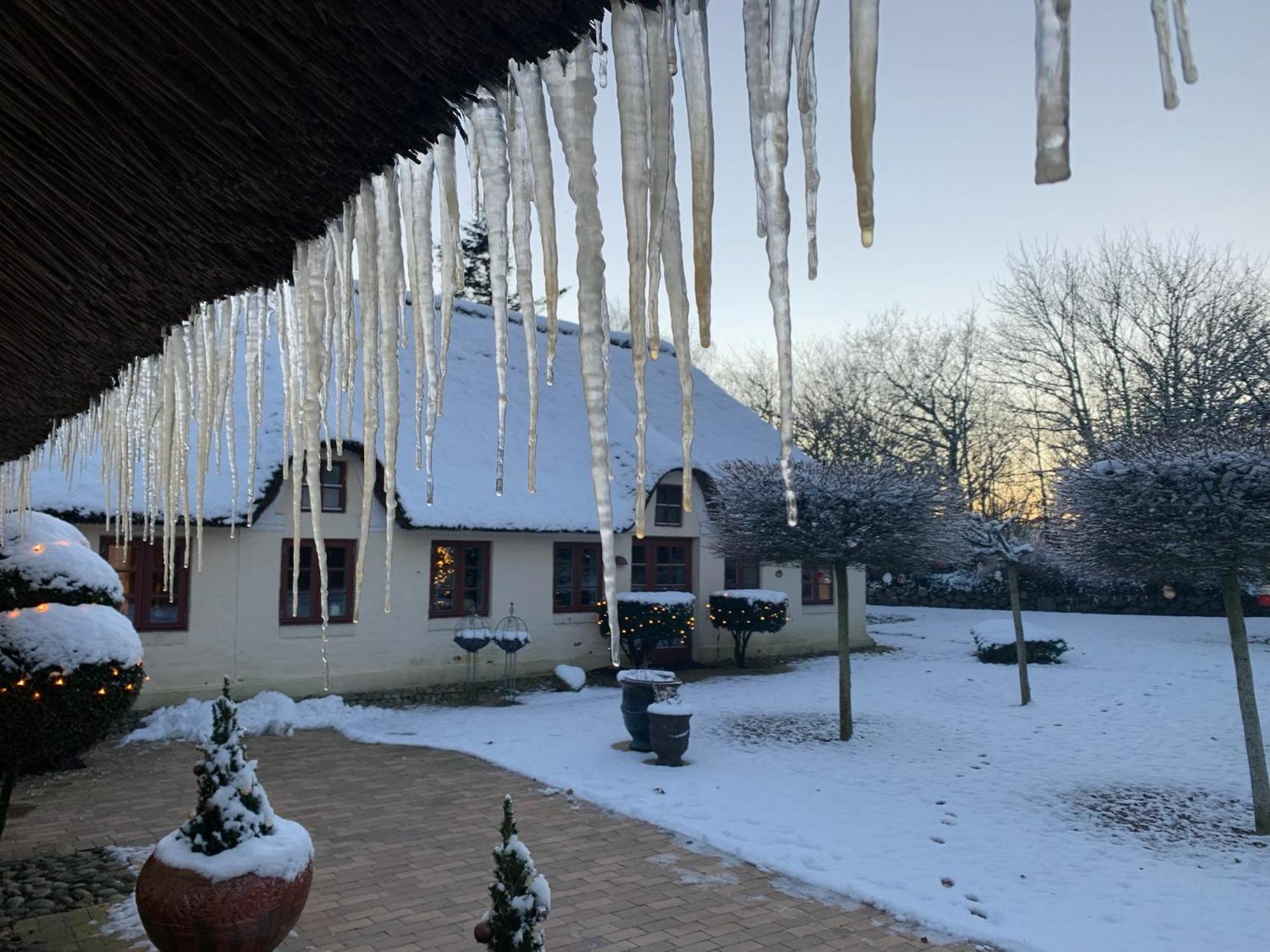 Mindedalen - Idyl Taet Pa Alt Og Helt I Fred Apartment Billum ภายนอก รูปภาพ