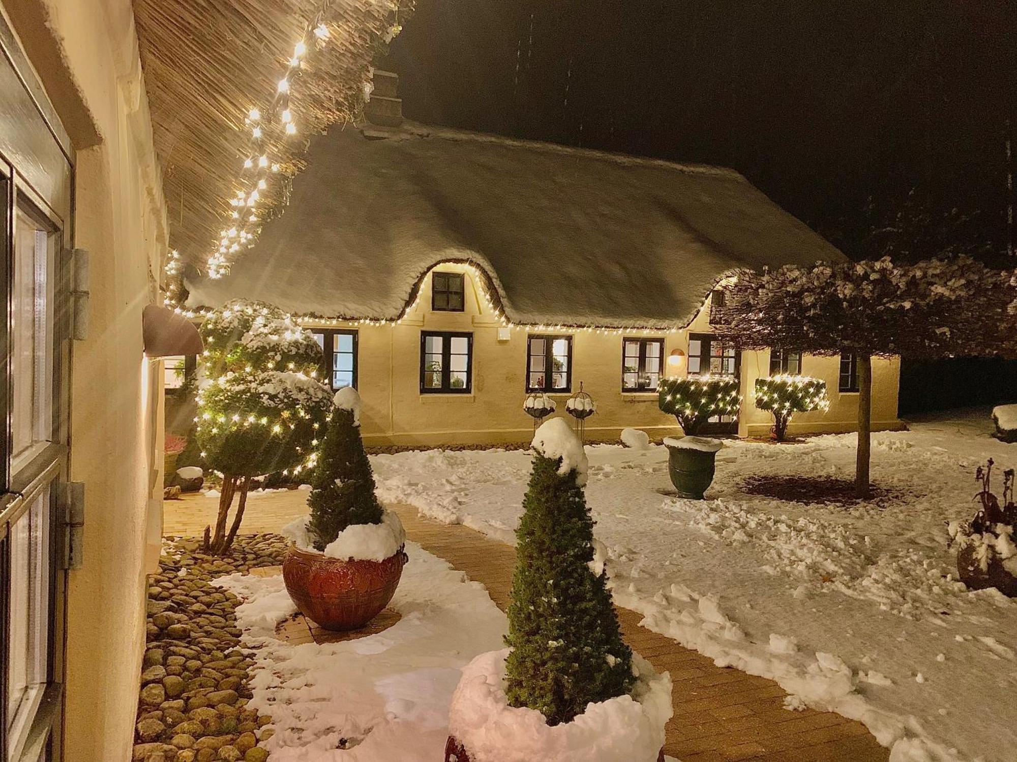 Mindedalen - Idyl Taet Pa Alt Og Helt I Fred Apartment Billum ภายนอก รูปภาพ